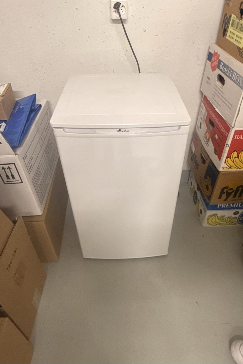 Congelatori: Tiefkühler Prima Vista 64 l – Nuovo (secondo la descrizione) da Stachen venduto da Endlose_red_demon 3