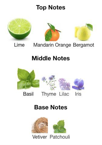 Jo Malone Profumi & Eau de Toilette: Lime, Basil & Mandarine, Jo Malone (DECANT / Abfüllung) – Usato da Neuchâtel venduto da switzer_scent 1