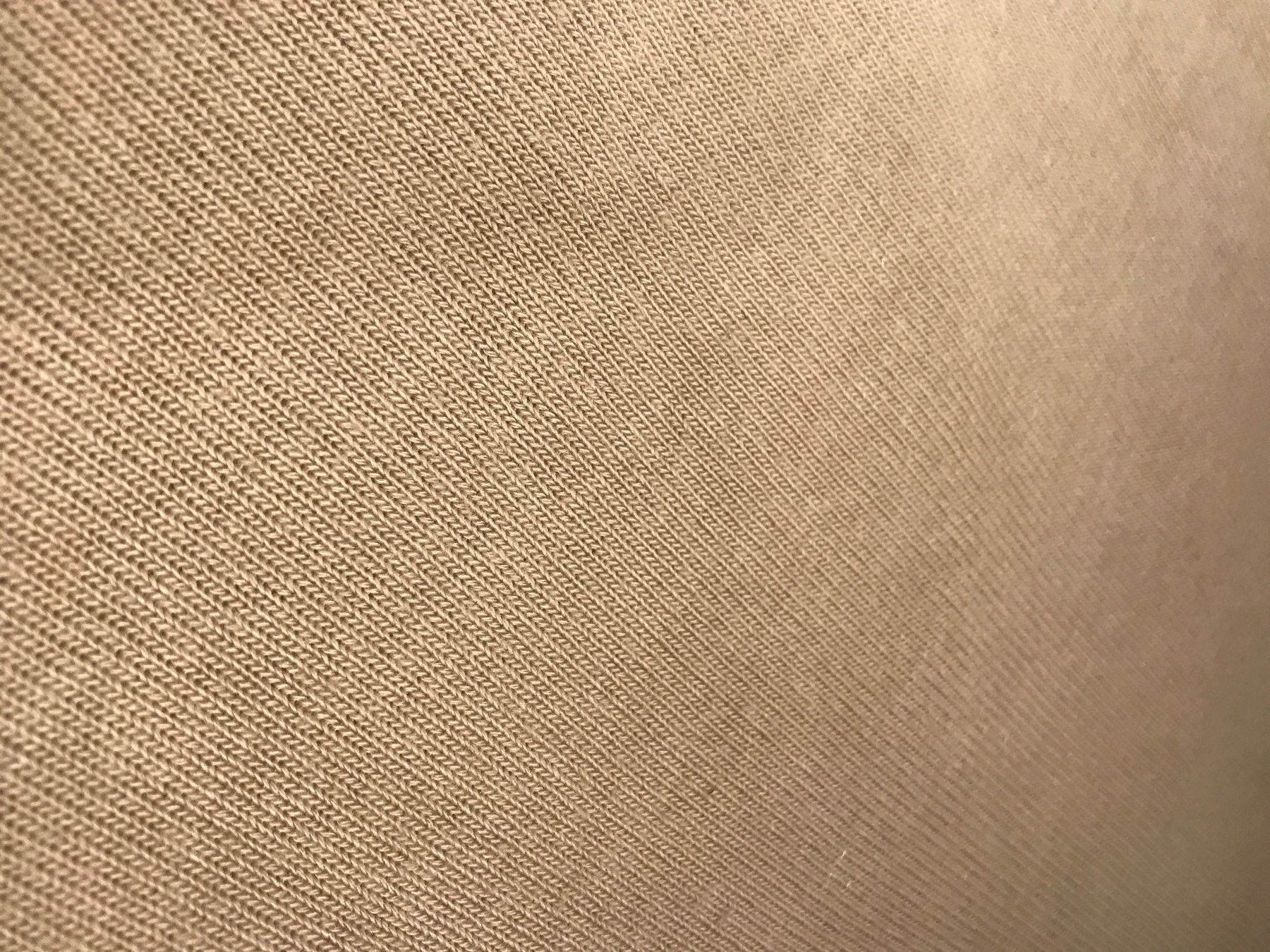 Tessuti: Coupon Jersey beige (coton/elastane) – Nuovo (secondo la descrizione) da La Neuveville venduto da e_perriard 1