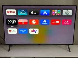 LG OLED48B49LA (48", B4, OLED, 4K, 2024), Zubehör
