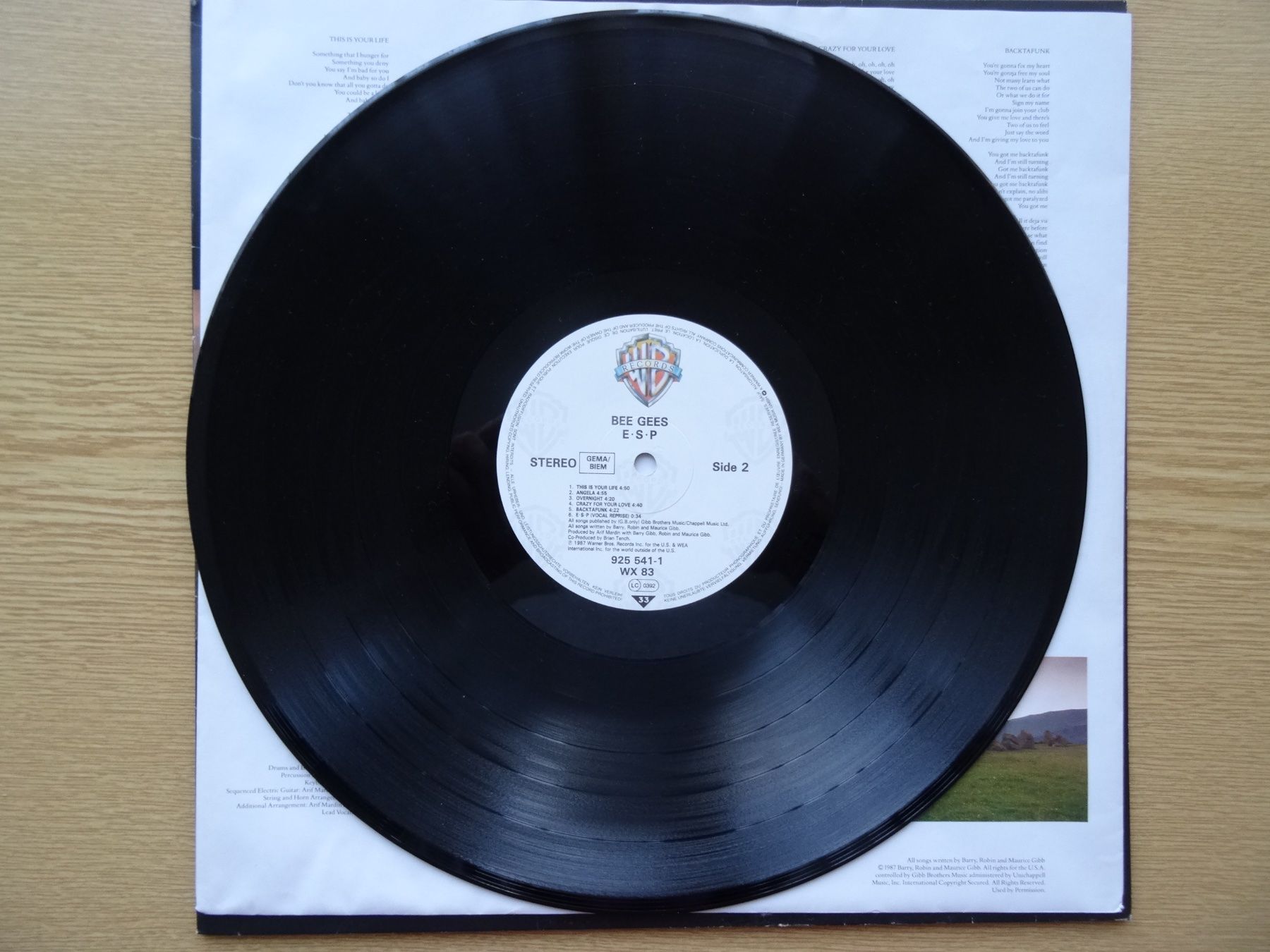 Dischi in vinile: Bee Gees: ESP Vinyl LP (1987) – Usato da Zürich venduto da burdan 5