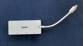 DisplayPort Adapter