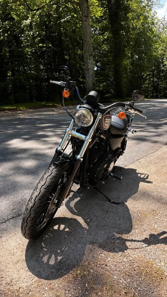 Harley-Davidson Cruisers: Harley Davidson 883R – D'occasion à Corsier-sur-Vevey par BussardS 1