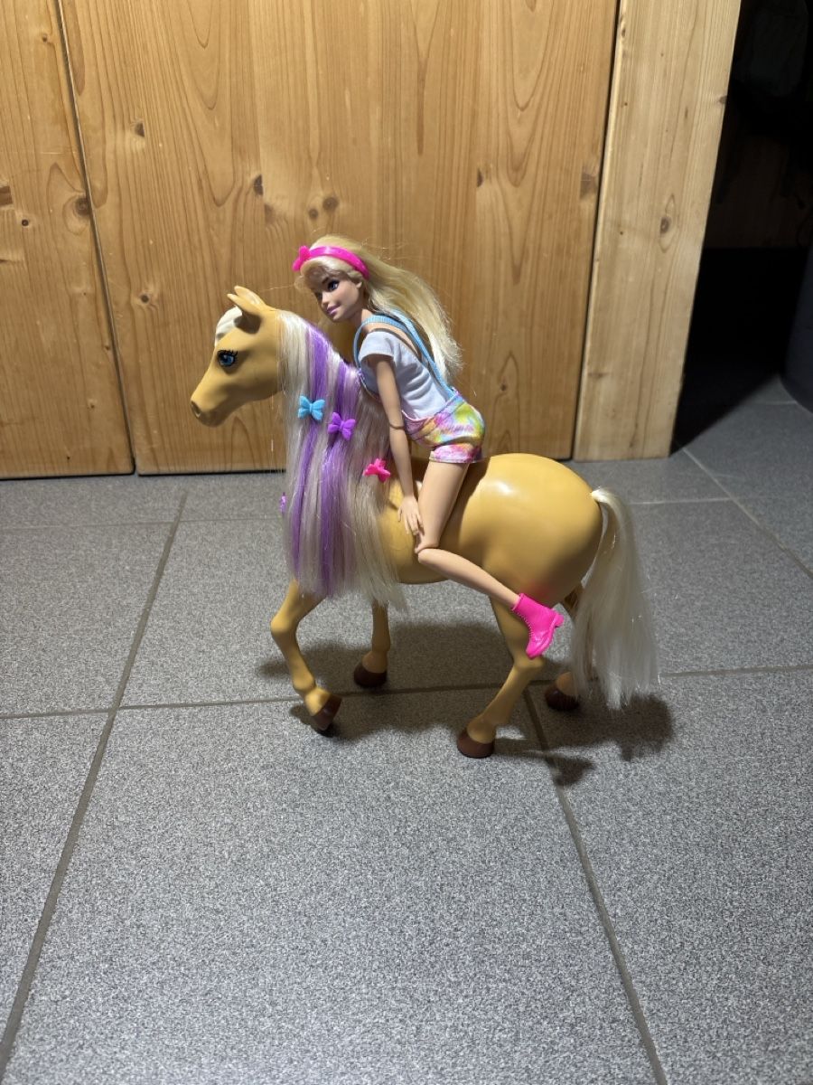 Giocattoli: Barbie Frisiersalon – Usato da Melchnau venduto da Dinudane 1