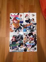 Anime Buch English