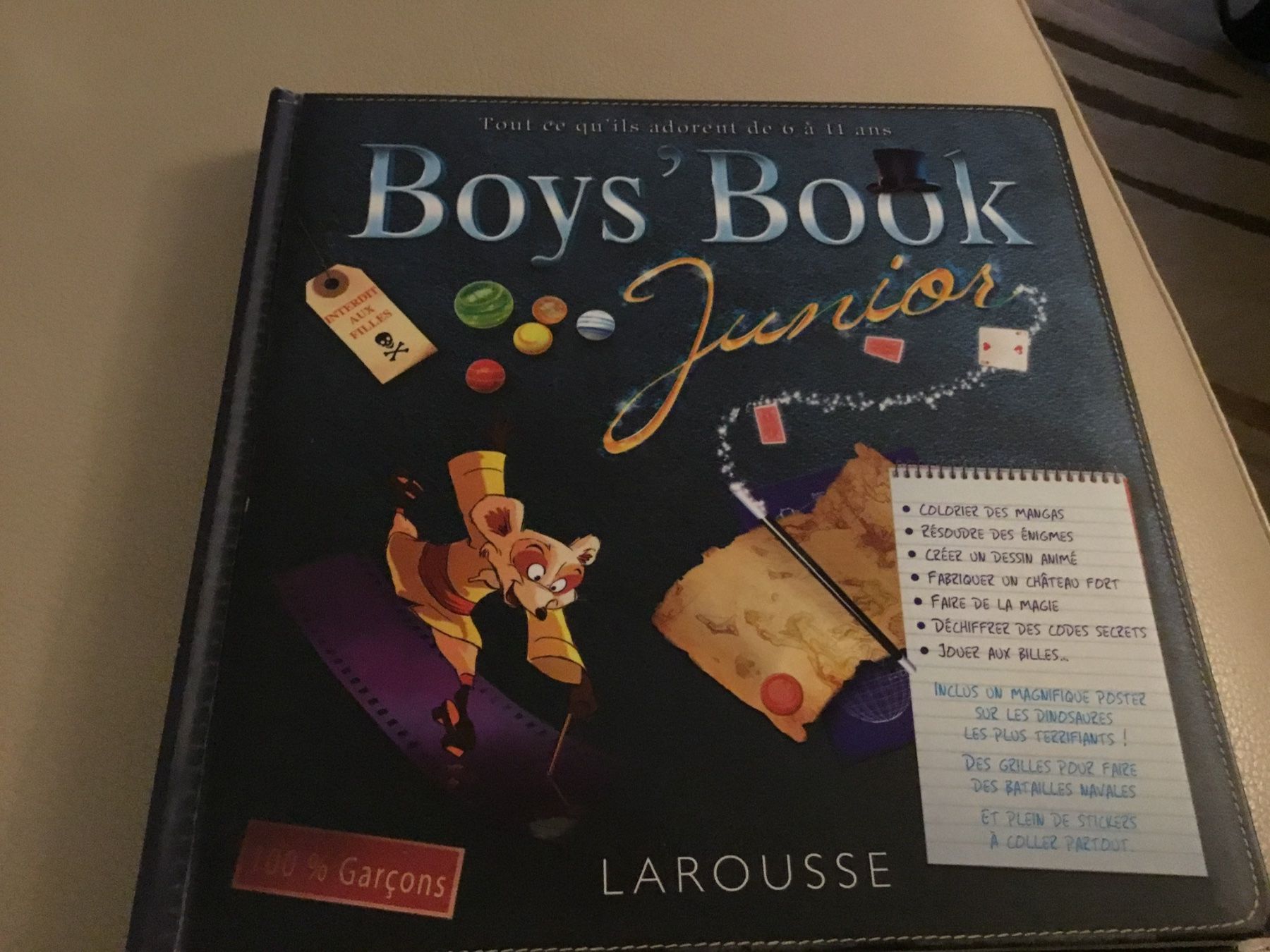 Libri: BOYS BOOK, 100% garçons, éditions LAROUSSE – Nuovo (secondo la descrizione) da Genève venduto da Mazelyne 1