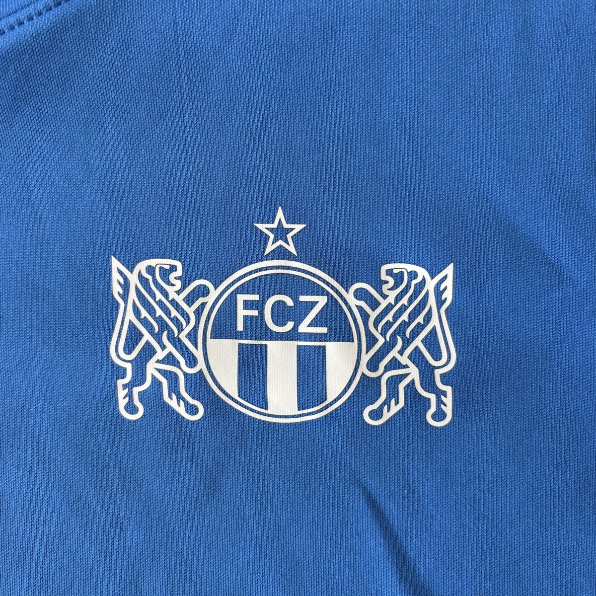 Nike Leibchen & Hosen: Fc Zürich Antepay Player Issue Grösse M Nike – Gebraucht aus Winterthur von LaBodega 7