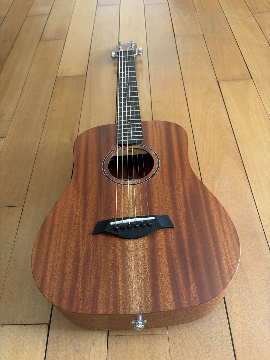 Taylor Strumenti musicali: Taylor BT2e – Usato da Zürich venduto da mw_777 4