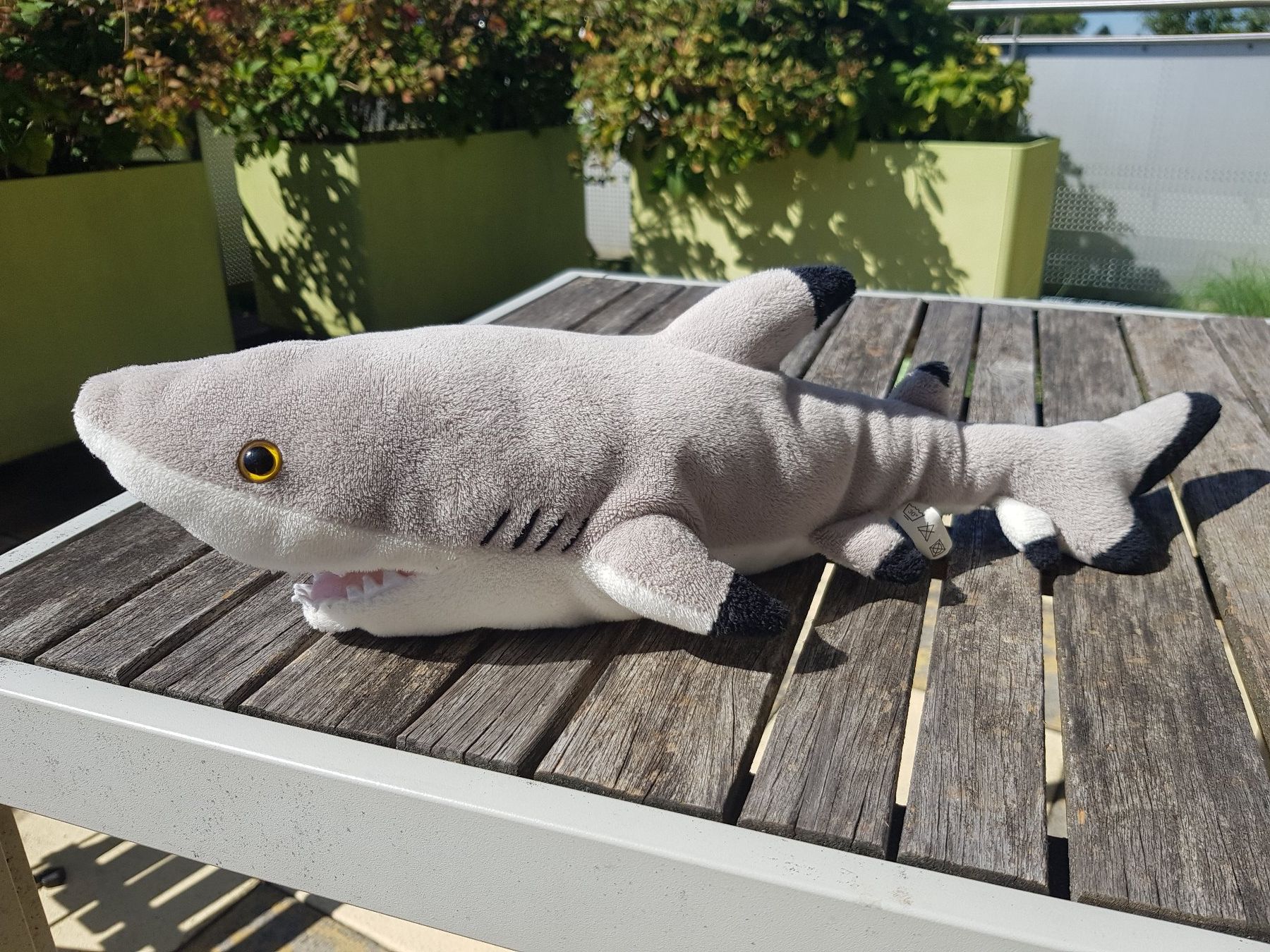 Spielzeuge: Plüschhaifisch – Gebraucht aus Jona von dampfnuggi