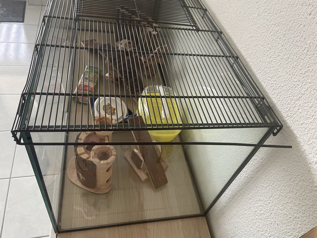 Gabbie, trasporto & Sicurezza: Hamsterkäfig mit Zubehör  – Usato da Fehraltorf venduto da clazu84 5