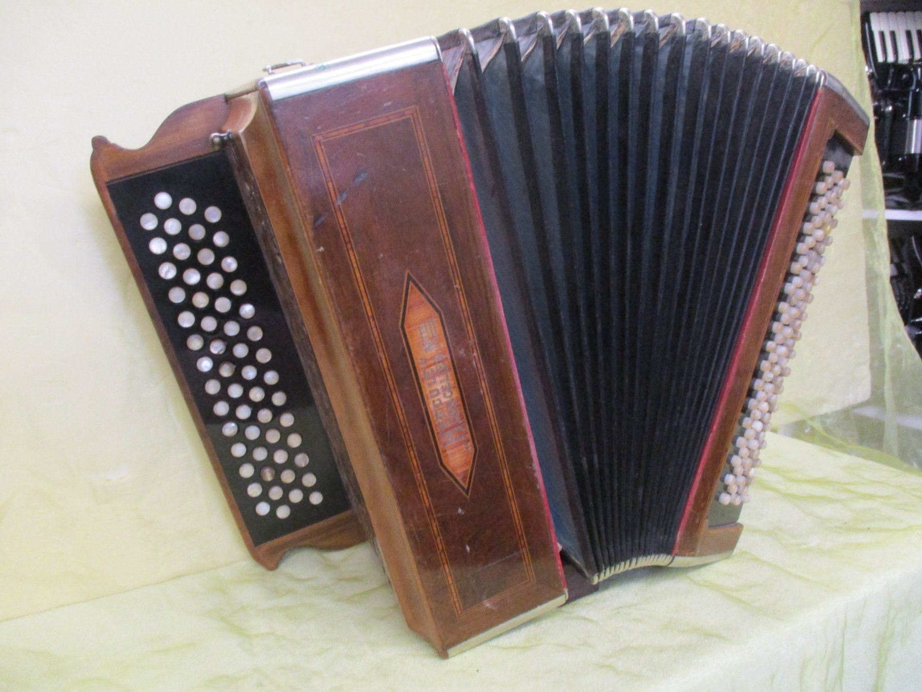 Strumenti musicali: Akkordeon Hercule – Usato da Jegenstorf venduto da Oktavio 2