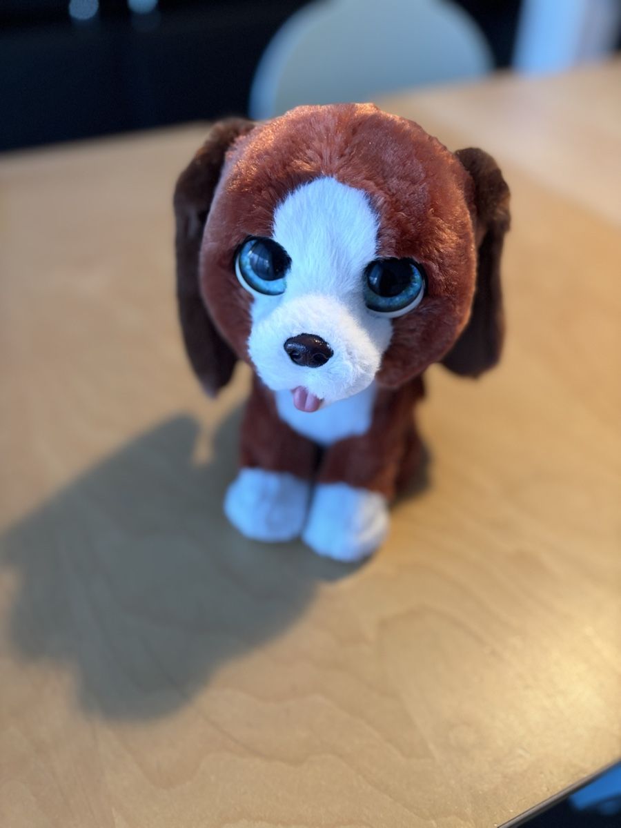 FurReal Spielzeuge: Hasbro FurReal Wachhund – Gebraucht aus Niederwangen b. Bern von muidop