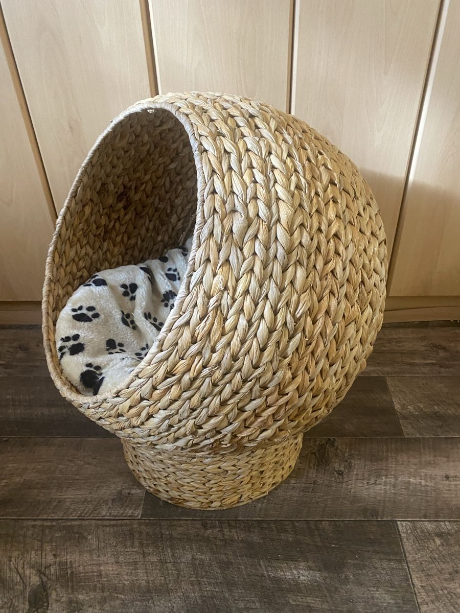 Cucce & Letti: Rattan Hunde/Katzenkorb Bett – Usato da Seewen SZ venduto da shaky01 2