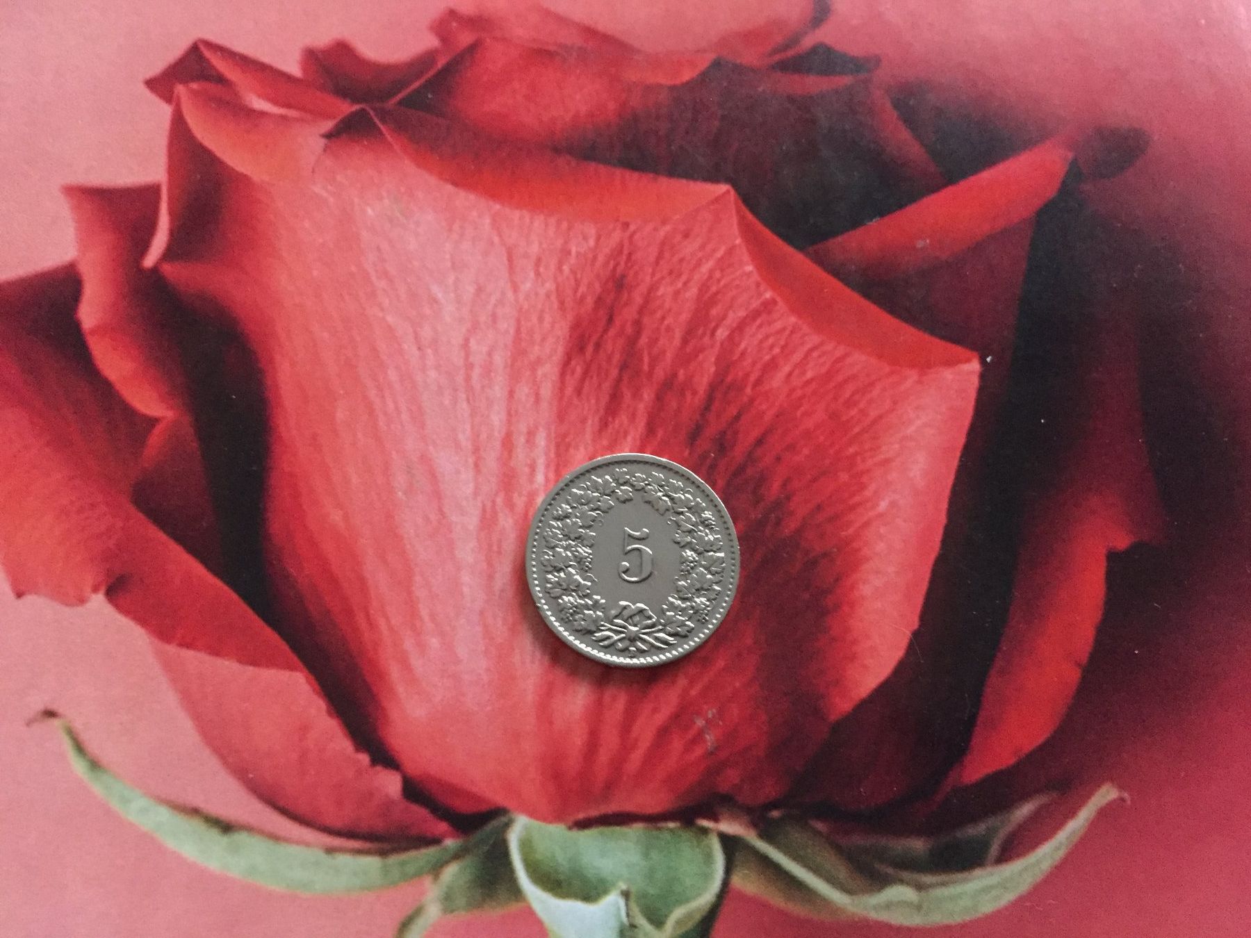 Tutti le monete: 5 Rappen 1952 -vz – Usato da Elsau venduto da herbybay 2