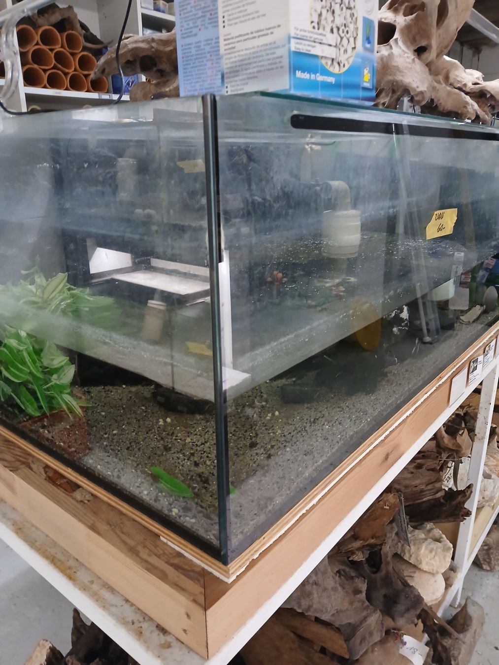 Terrario: Occasion Terrarium 270L – Usato da Kappelen venduto da lue_nrl2