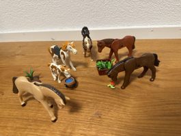 Playmobil Pferde Set mit Fohlen und Zubehör gebraucht