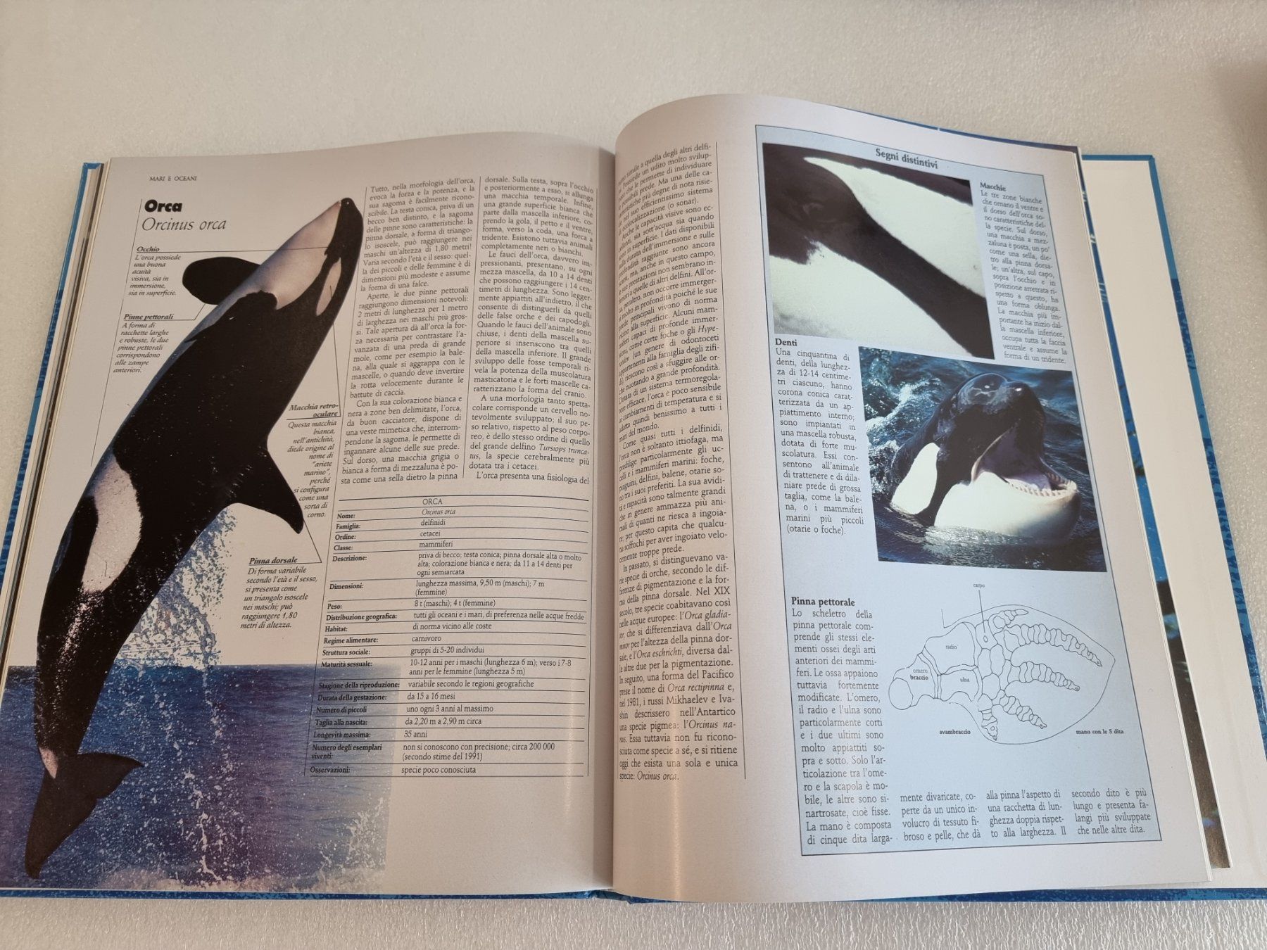 Libri: 5 libri degli animali – Usato da Hinwil venduto da Fransim 6