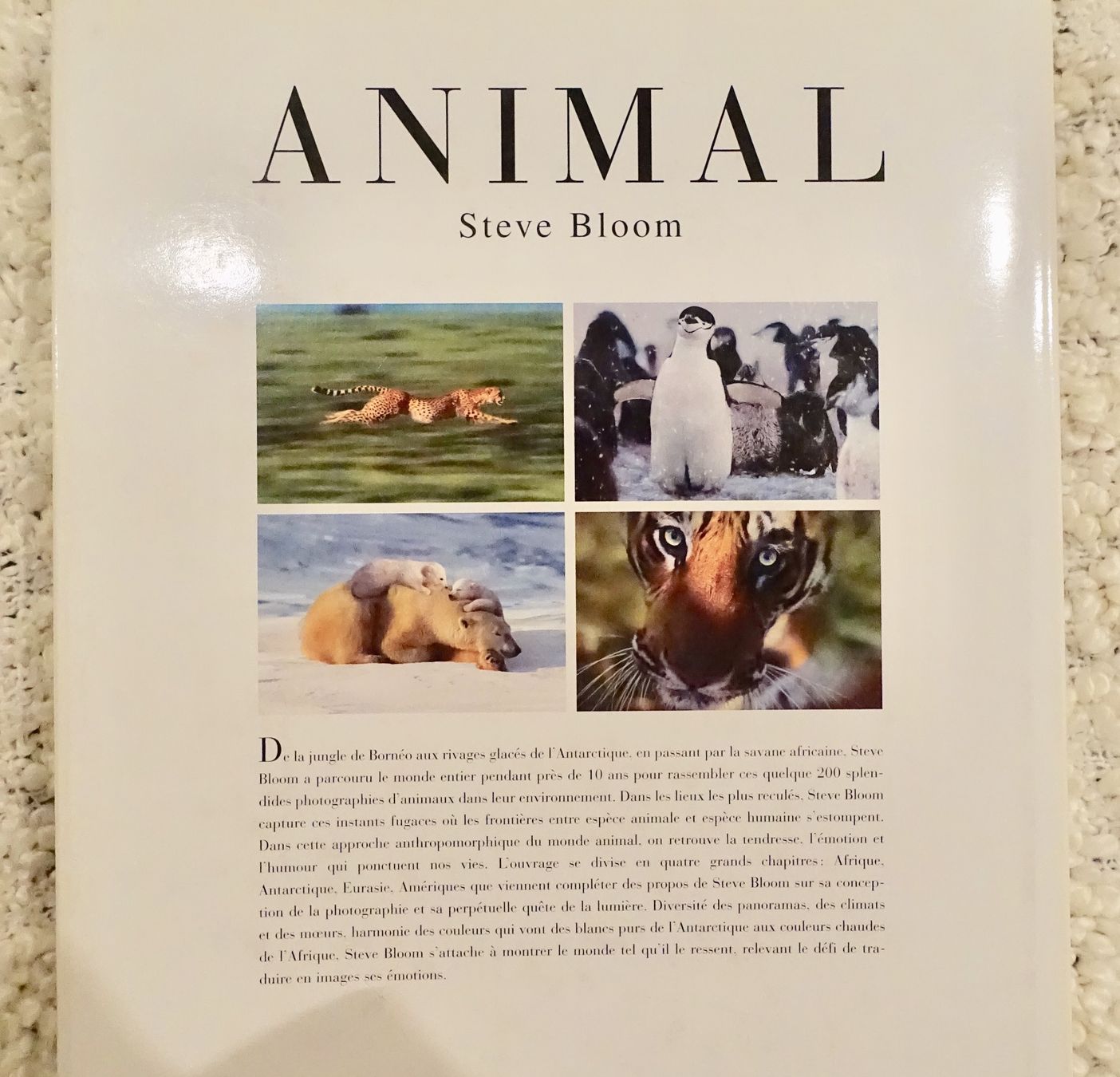 Libri: Livre animaux – Nuovo (secondo la descrizione) da Genève venduto da flocon06 1
