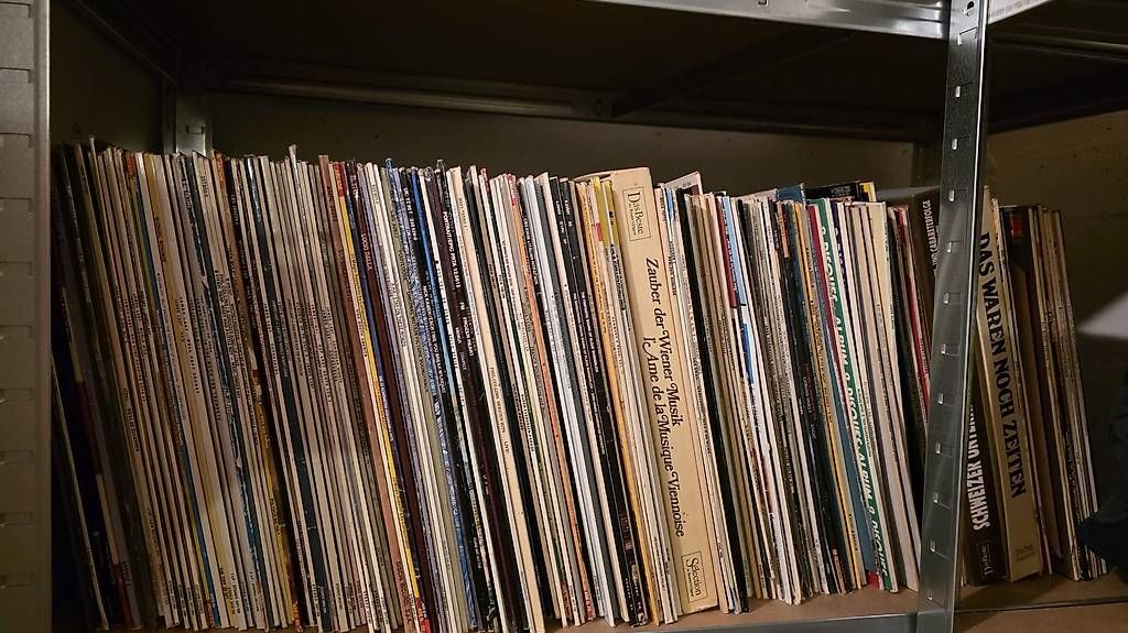 Dischi in vinile: Schallplatten Sammlung – Usato da Mezzovico venduto da flaviohengge 2