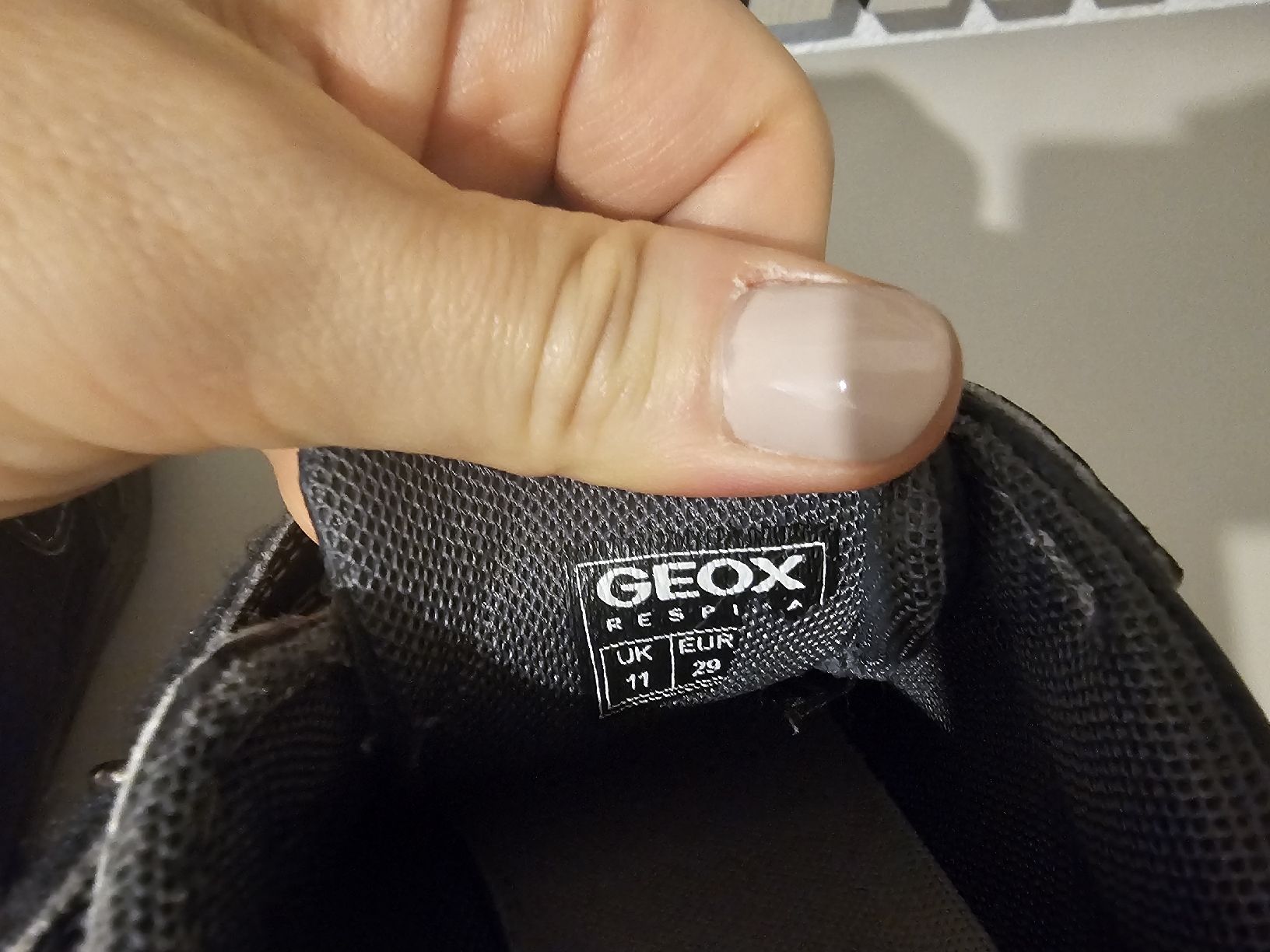 Geox Chaussures garçon: Halbschuh, Sneaker Geox in 29 – D'occasion à Buch am Irchel par Potzblitz2 5