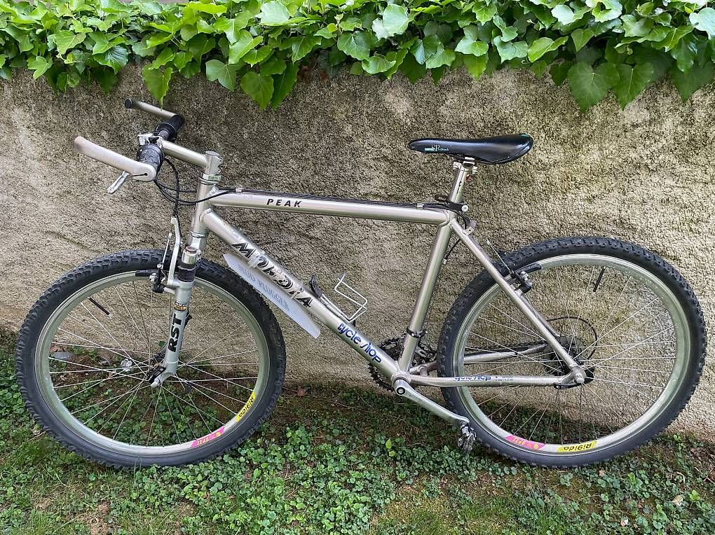 Biciclette: VTT homme – Usato da Vevey venduto da ohzut