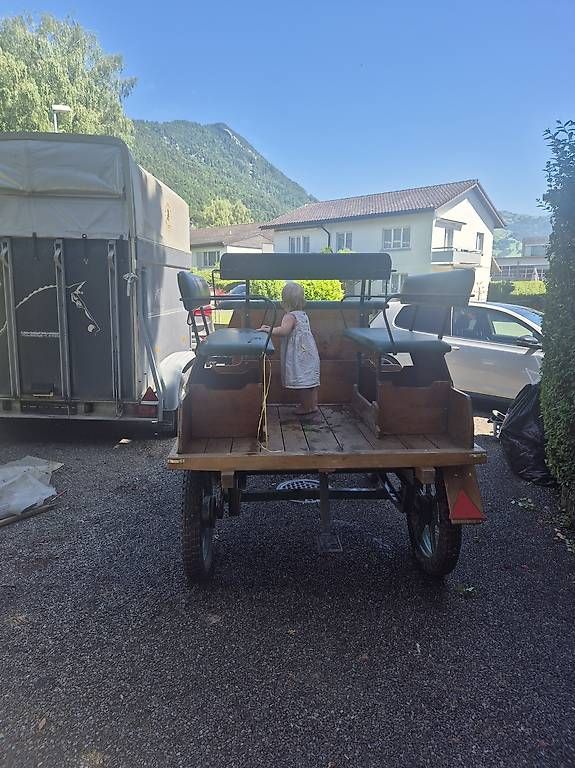 Carrozze: Pferdekutsche – Usato da Brunnen venduto da fed_v67g