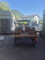 Pferdekutsche