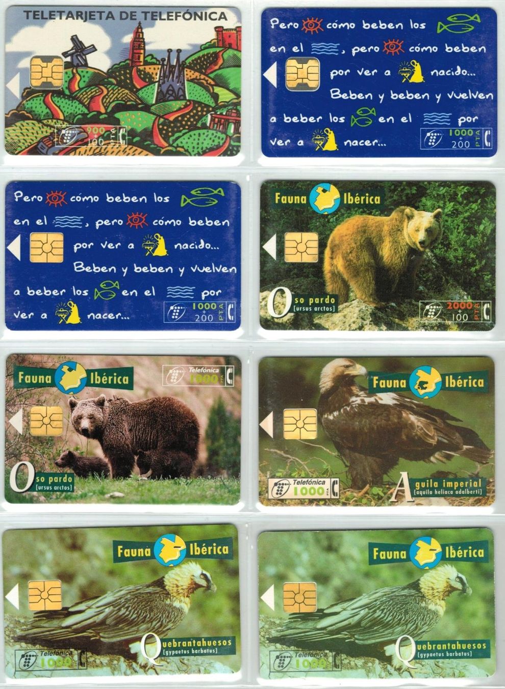 Cartes de téléphone: 8 Telefonkarten Spanien – D'occasion à Zürich par Tolima194
