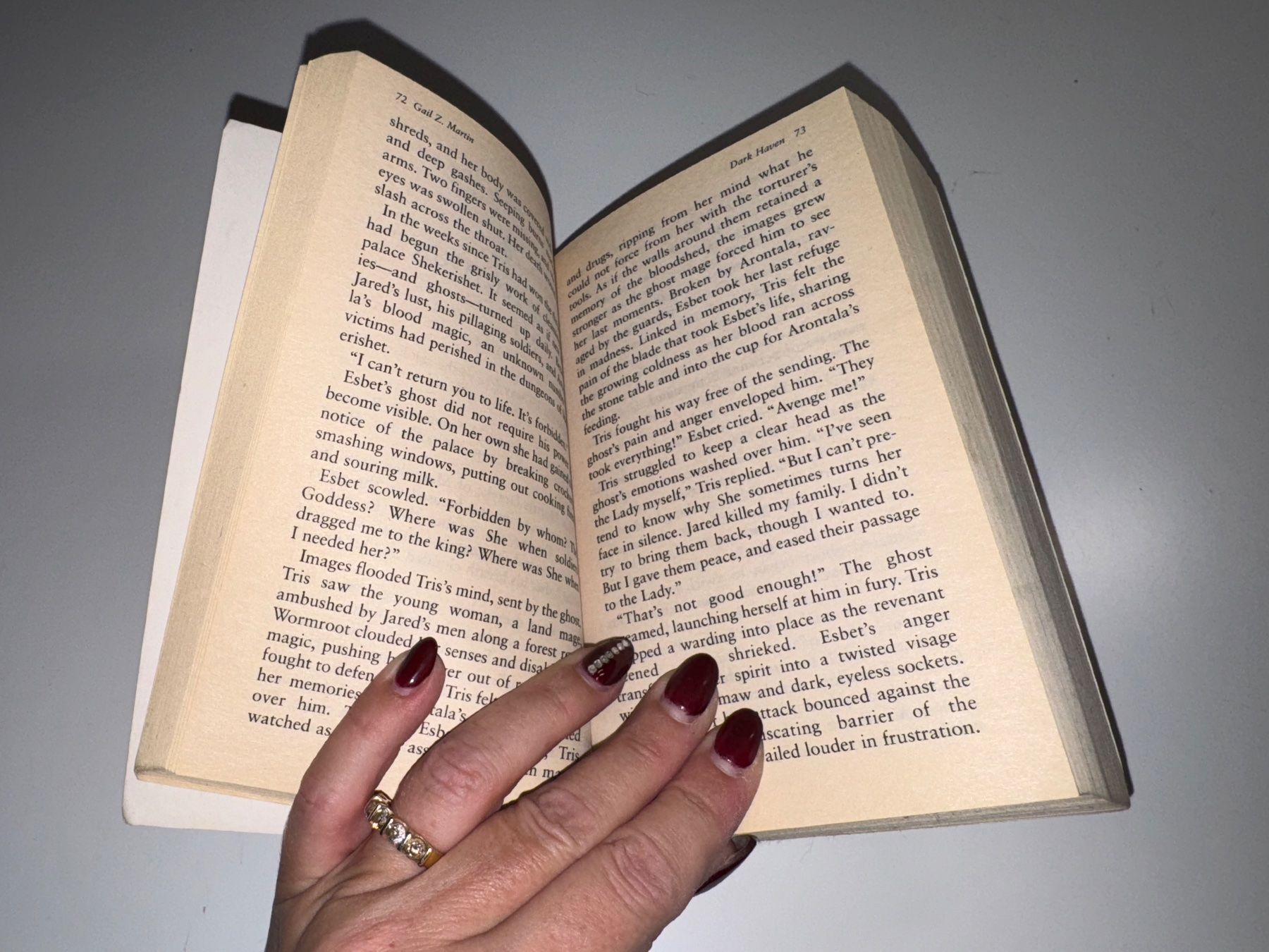 Libri: NOVEL: Gail Z. Martin, Dark haven – Usato da Grosswangen venduto da English_books 3