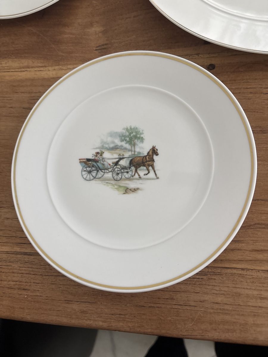 Set di piatti: Langenthal Teller 6 Dessertteller 1Kuchenteller – Usato da Kriens venduto da Wundertuete17 2