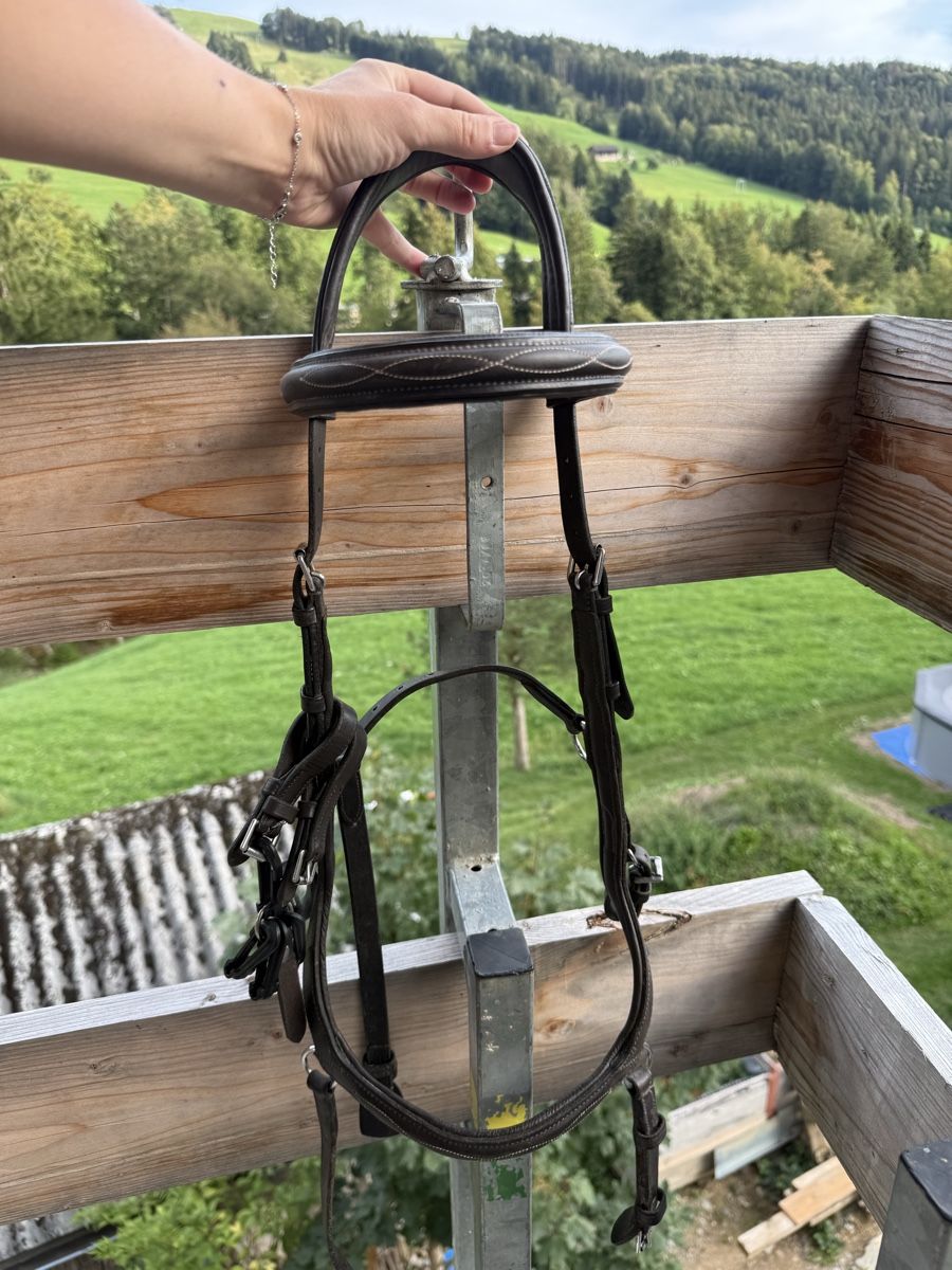 Briglie & Cavezze: Rambo Micklem XL Zaum – Usato da Goldingen venduto da Wibli96