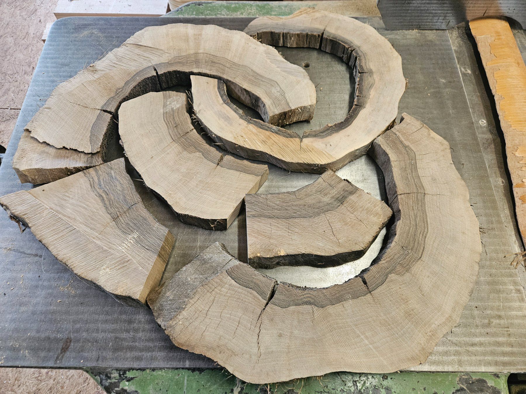 Articoli in legno: Nussbaum Holz – Nuovo (secondo la descrizione) da Schangnau venduto da egli6.2