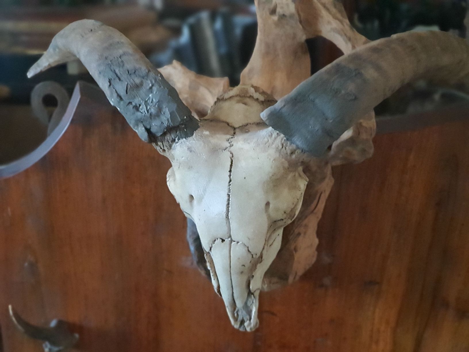 Fixations: Rarität Gewehrhalter – D'occasion à Wangen b. Olten par Hecht62xyz 1