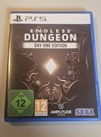 Endless Dungeon, PS 5