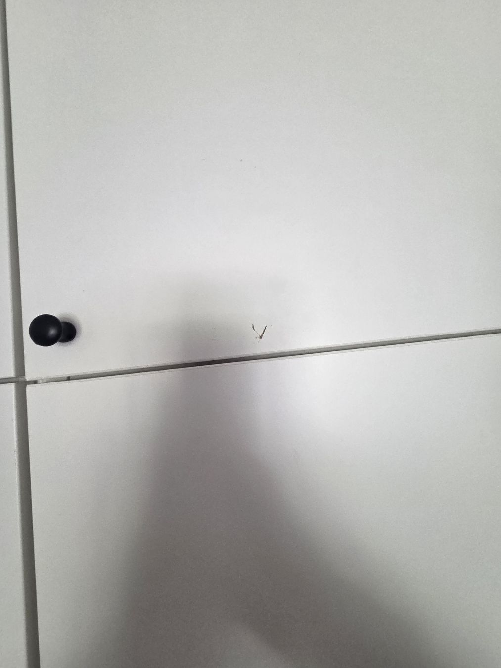 Ikea Armadi: Ikea Platsa Schrank weiss – Usato da Münchenstein venduto da Sweetsummer88 2