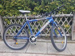Velo