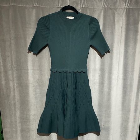 Sandro Knit Elegant Dress