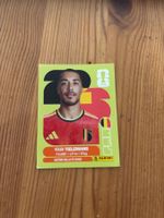 Panini