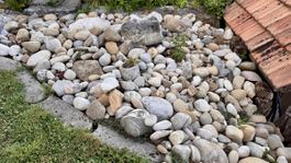 Schöne natürliche Bollensteine / Flusssteine verschiedene 
