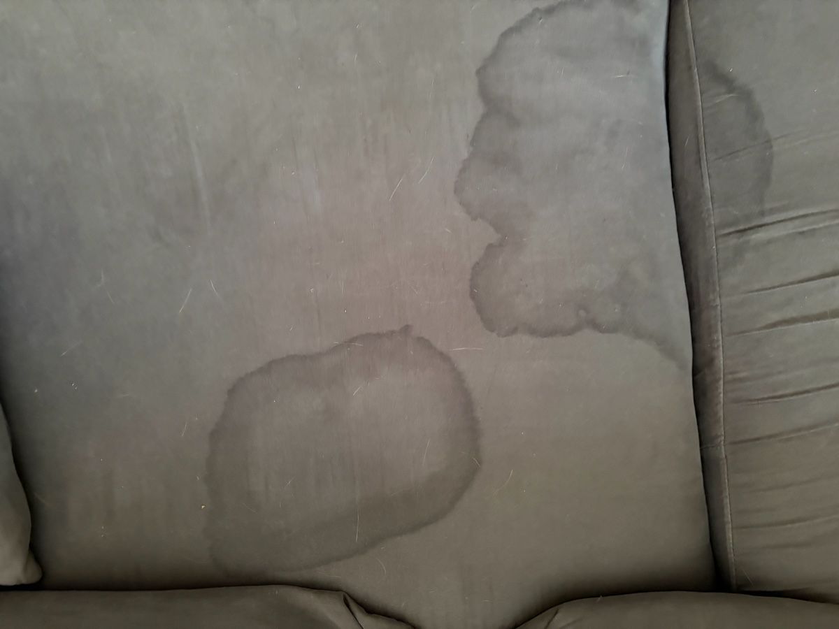 Divani: Sofa – Usato da Wichtrach venduto da chroepfu00 2
