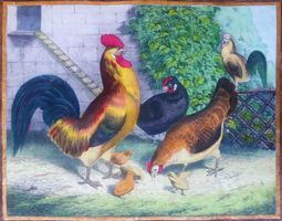 Kreidelithographie koloriert (II), Hühnerhof, um 1860