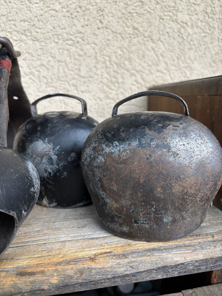 Glocken & Treicheln: 4x Varonne NR 5 – Gebraucht aus Schangnau von Roseggli82 3