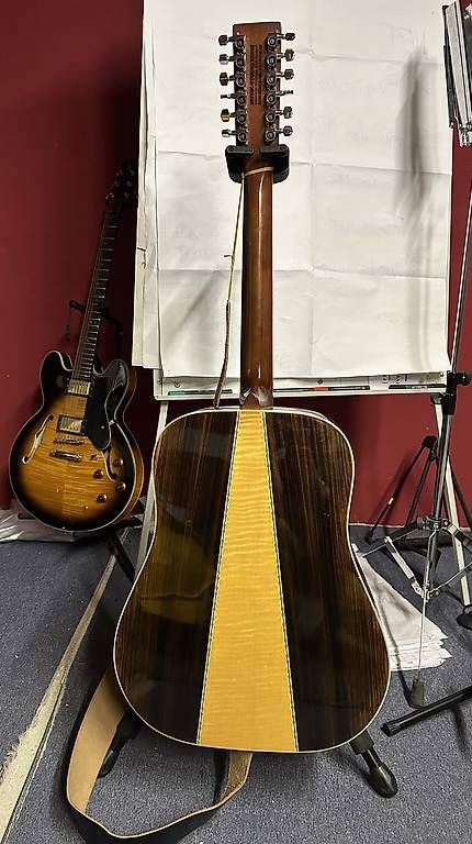 Strumenti musicali: fairytale 12-string western guitar – Usato da Basel venduto da mentaltrap 1