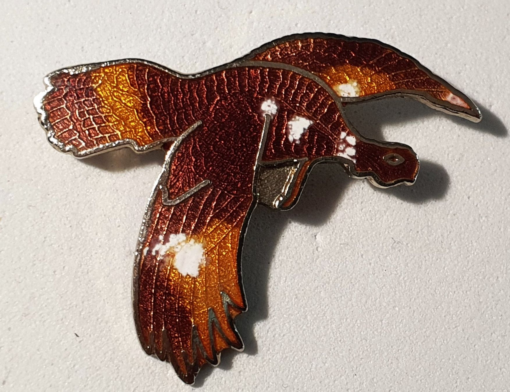 Placchette & Badge: AA706 - Pin Tier Vogel – Usato da Reinach BL venduto da Boston-Verkauf 1