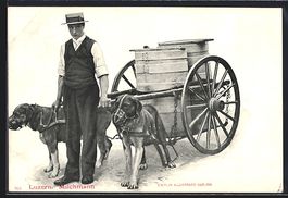 AK Luzern, Milchmann mit Hundegespann