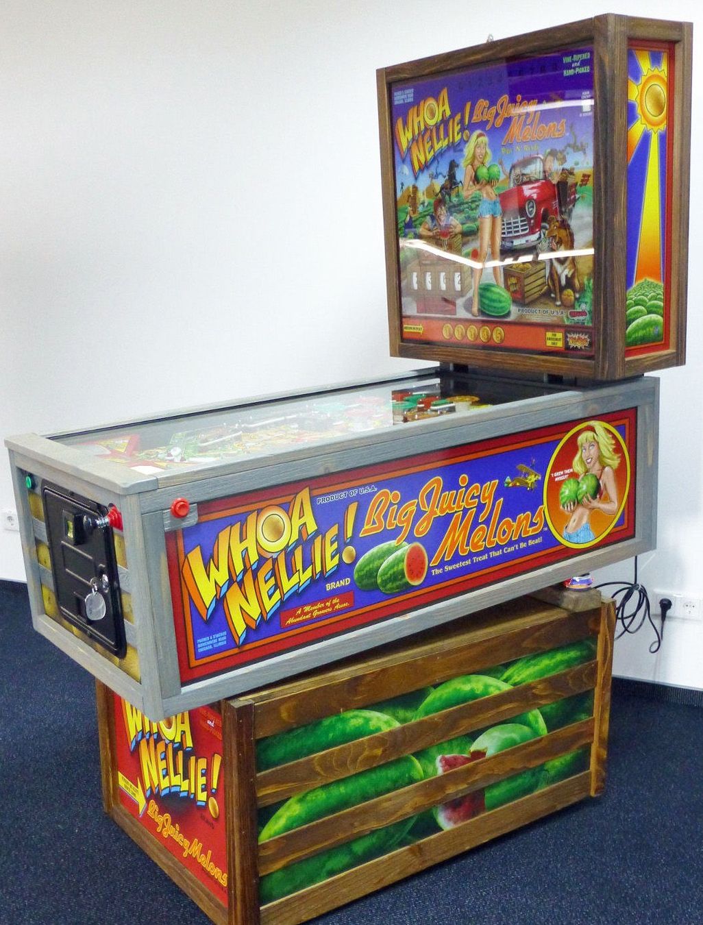 Flipper: whoa nellie – Usato da Mattstetten venduto da Reuanezam 3