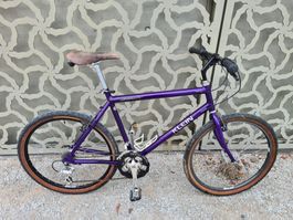 Klein MTB RG 54cm XL voll Campagnolo Ausstattung 1994 VTT