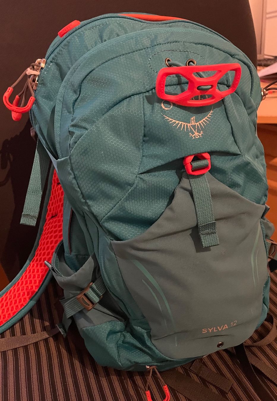 Osprey Zaini: Osprey "Sylva 12" Rucksack – Usato da Russikon venduto da Ziorudolfo 7