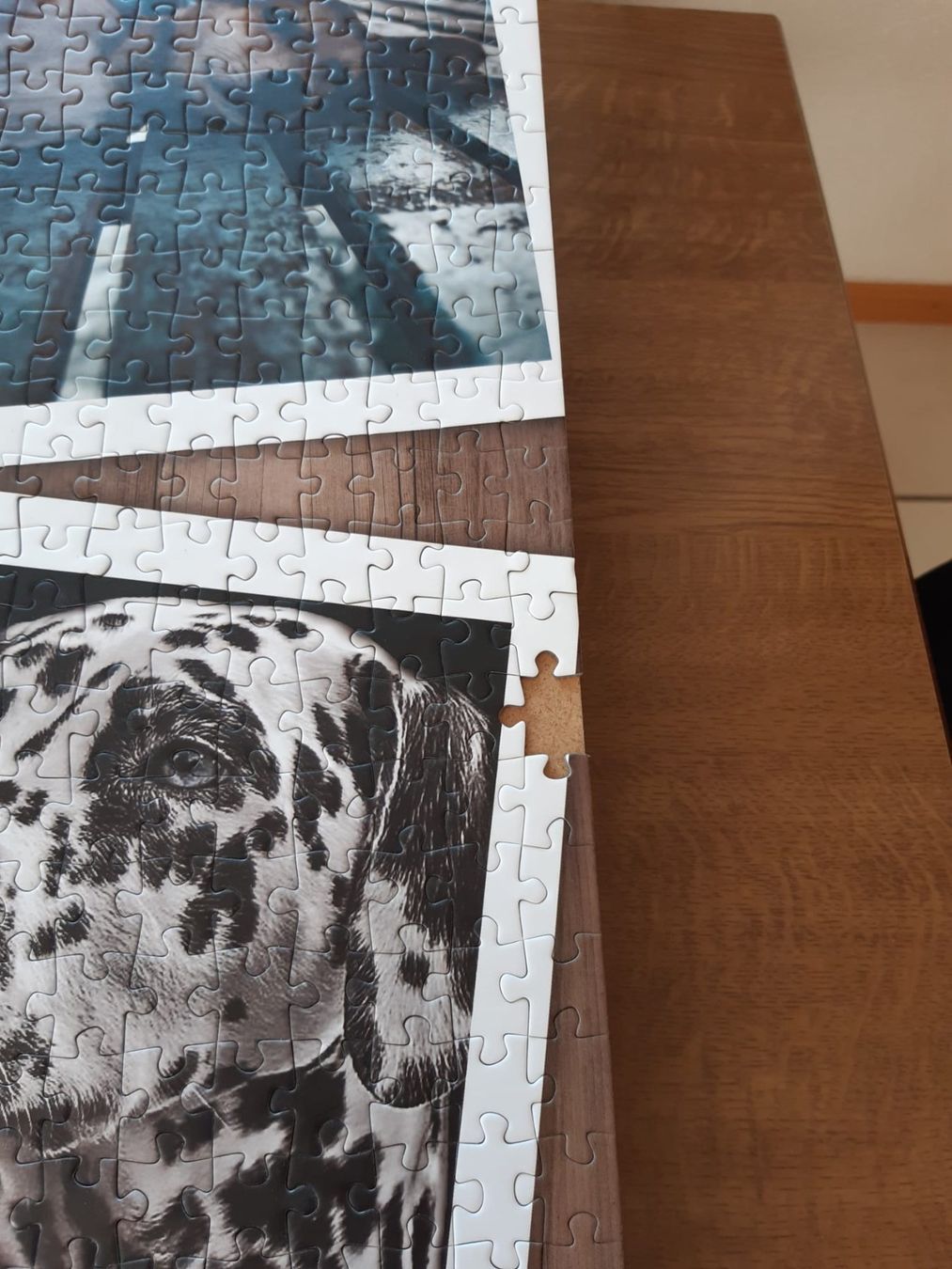 Puzzle: Hundepuzzle mit 1500 Teilen – Nuovo (secondo la descrizione) da Bütschwil venduto da Taranabo 2