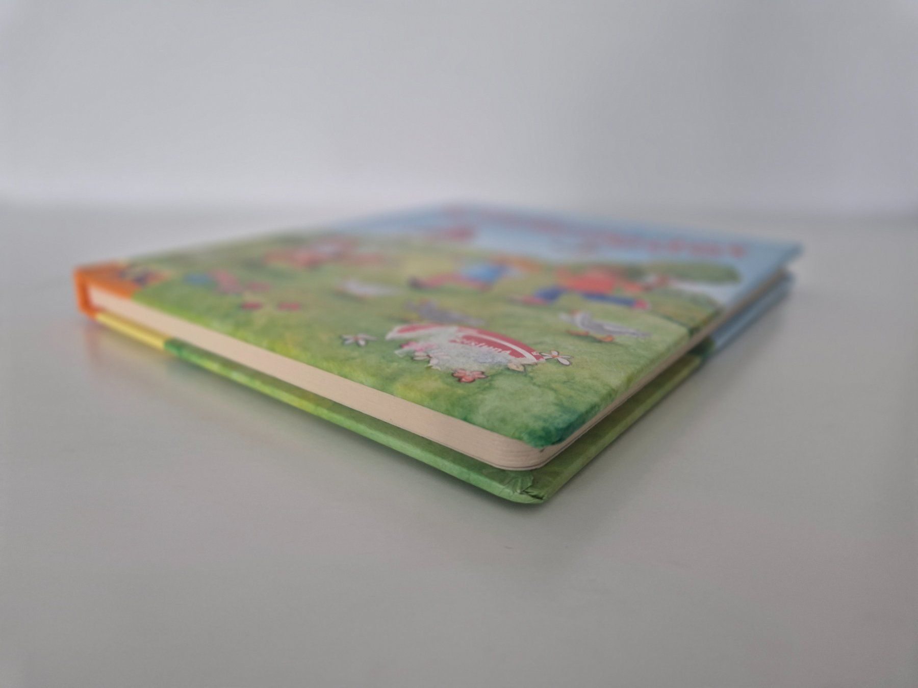 Libri: Buch Meine ersten Kinderlieder – Usato da Aarburg venduto da i_c6r8 5